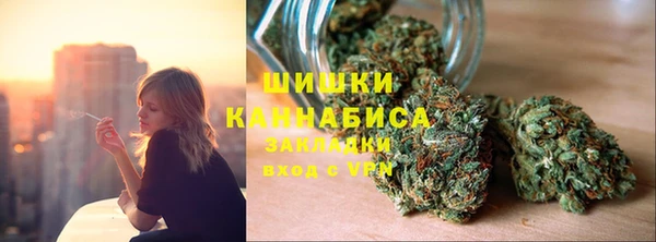 сатива Баксан