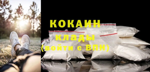 сатива Баксан