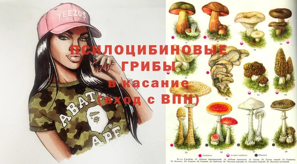 сатива Баксан