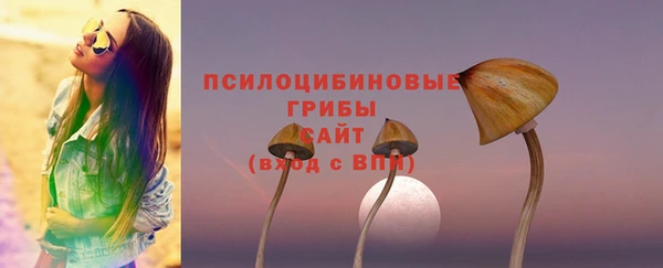 сатива Баксан