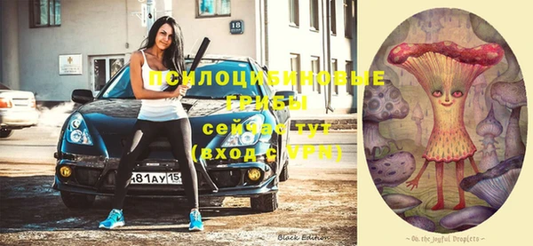 сатива Баксан