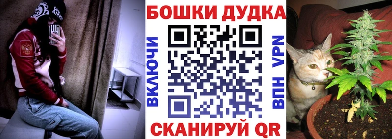 Конопля сатива Черноголовка